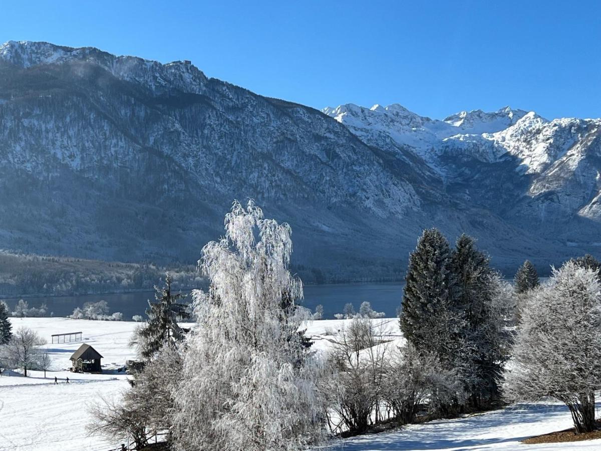 Gloria Holiday - Apartment Bohinj Exteriör bild