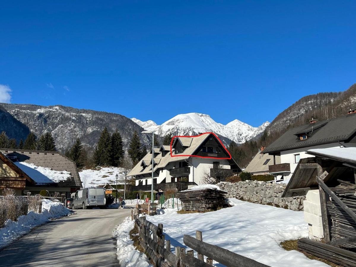 Gloria Holiday - Apartment Bohinj Exteriör bild
