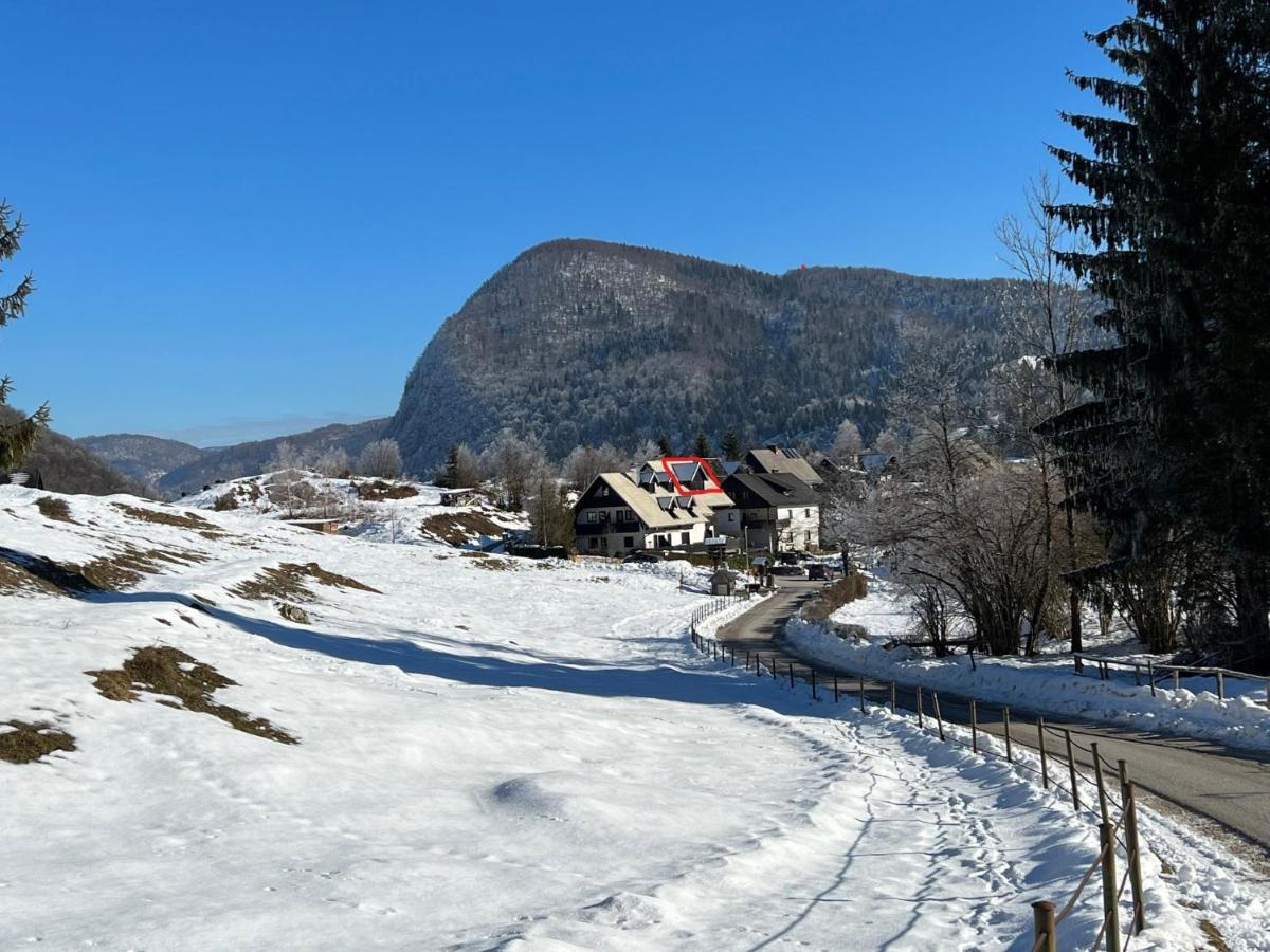 Gloria Holiday - Apartment Bohinj Exteriör bild